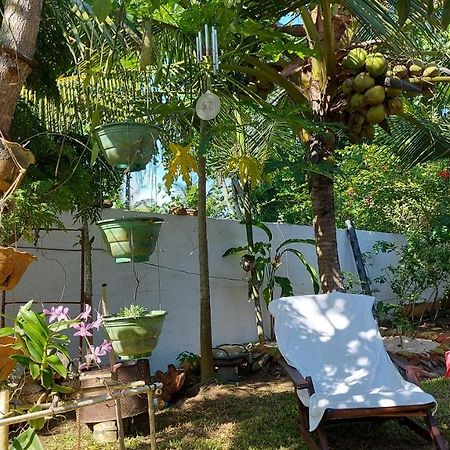 Wine Tree Garden Guesthouse 미리사 외부 사진