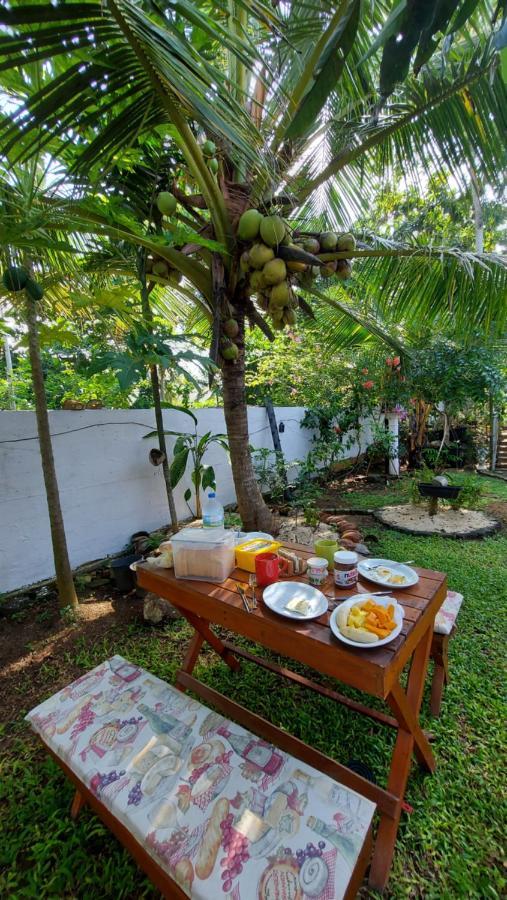 Wine Tree Garden Guesthouse 미리사 외부 사진