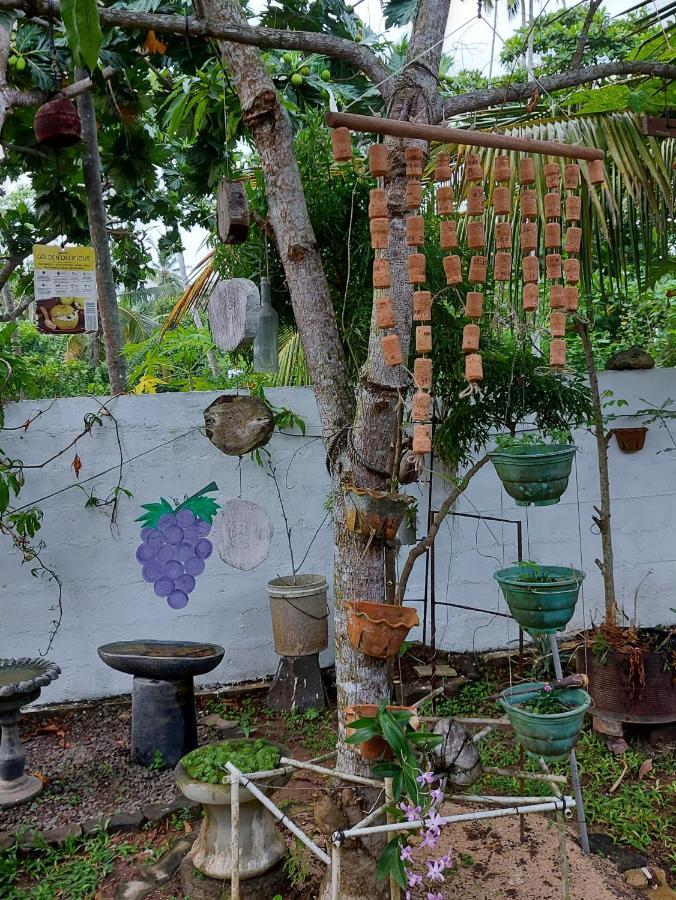 Wine Tree Garden Guesthouse 미리사 외부 사진