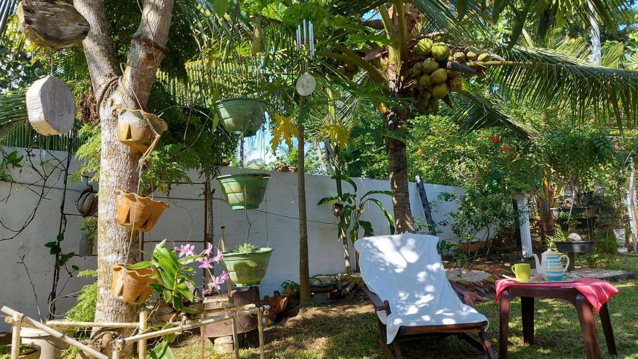 Wine Tree Garden Guesthouse 미리사 외부 사진