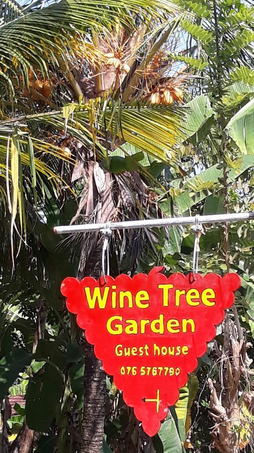 Wine Tree Garden Guesthouse 미리사 외부 사진